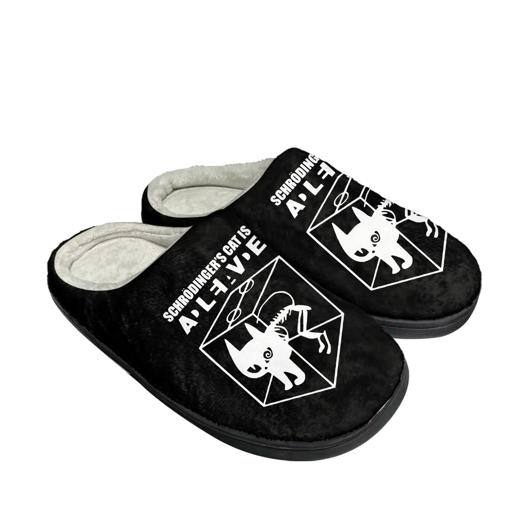 ビッグ TBBT シュレディンガーの猫ホーム綿スリッパメンズ - Men Shoes Winter のレビューと価格